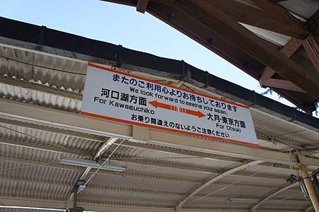 DSC05089.JPG