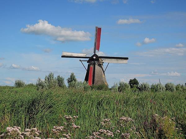 DSCN0970