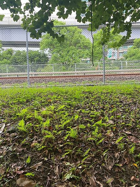 一旁就是淡水捷運了