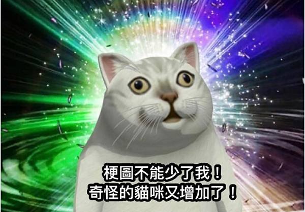 奇怪的貓迷因又增加了！