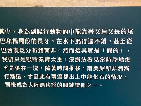  這邊文案說明為什麼中龍能在水域中如魚得水~│水棲爬行動物化石展 │親子博物館推薦