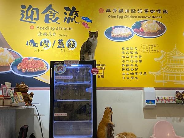 貓咪：什麼？你看得到我？│新店大坪林美食 &lt;迎食流咖哩-大坪林店&gt; │新北貓餐廳