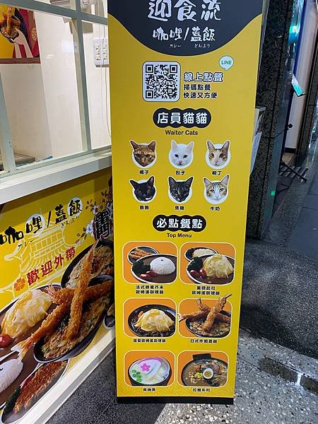  &lt;迎食流咖哩&gt; 店員貓咪，這個我很可以啊~~│新店大坪林美食│新北貓餐廳