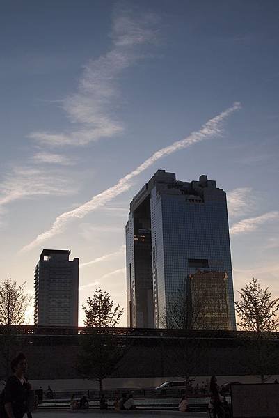 P8183856.JPG