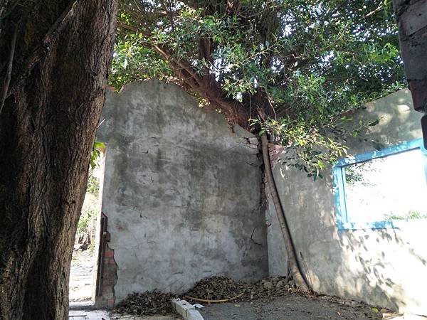 樹屋中的一角