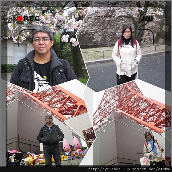 201504日本櫻花.jpg