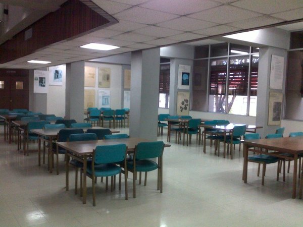 20100124151.jpg