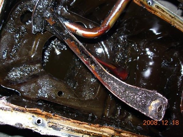 DSCN3073.JPG