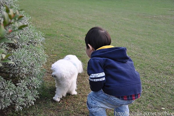 nEO_IMG_DSC_1019.jpg