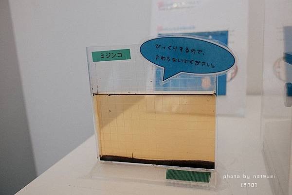 DSCF6937.jpg