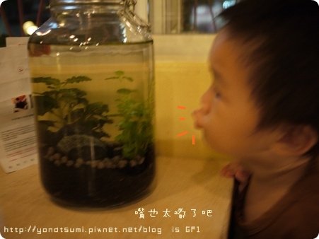 P1110704.jpg