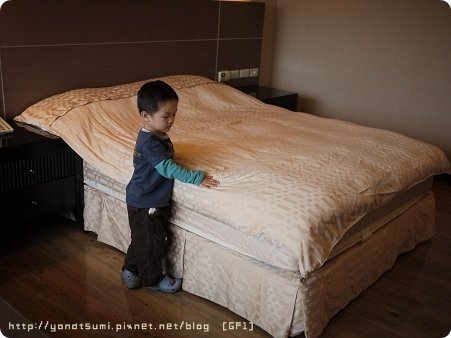 P1140133.jpg