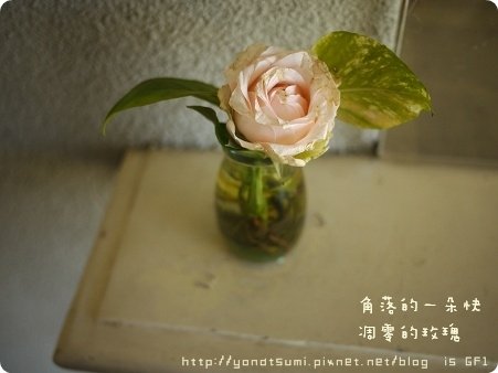 P1080639.jpg