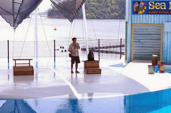 ocean adventure15.jpg