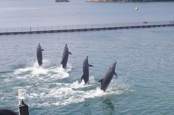 ocean adventure50.jpg