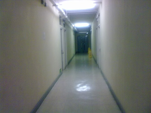 10072010039.jpg