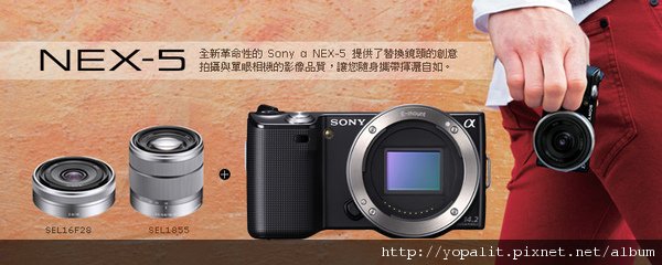 nex5d.jpg