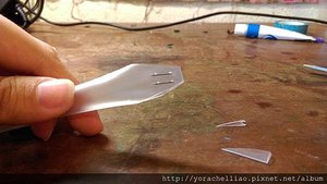IMAG0446.jpg
