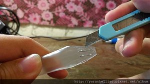 IMAG0448.jpg