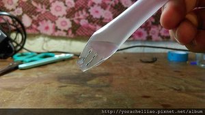 IMAG0449.jpg