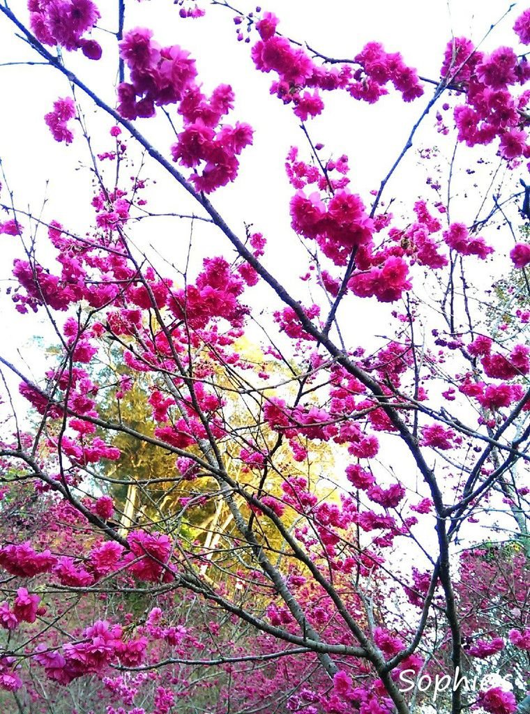 Image0022