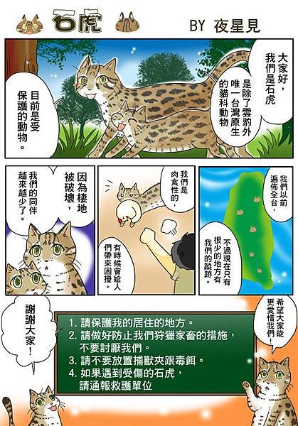 石虎&apos;.jpg