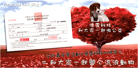 【內部活動】關心流浪動物