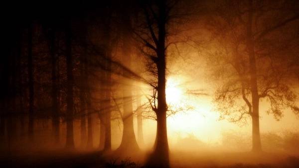 00663_ghostfog_2560x1600