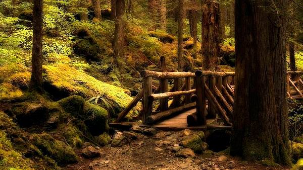 00385_mysterybridge_2560x1600