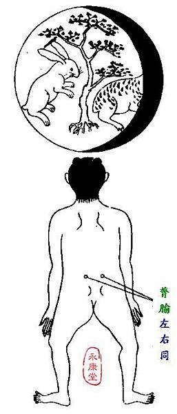 17-月毀十七日.JPG