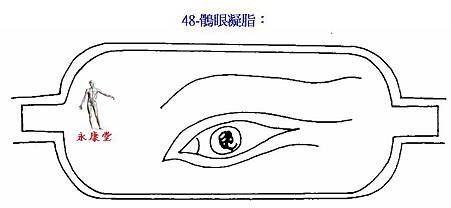 48-鶻眼凝脂：
