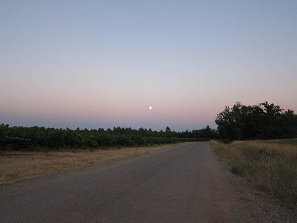 IMG_4238.JPG