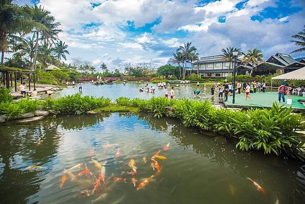 立川漁場可以來餵魚.jpg