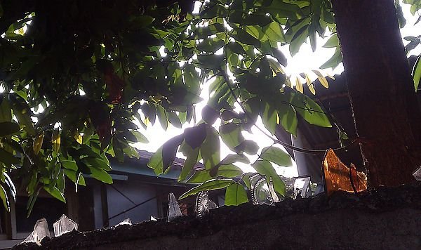 IMAG1125.jpg