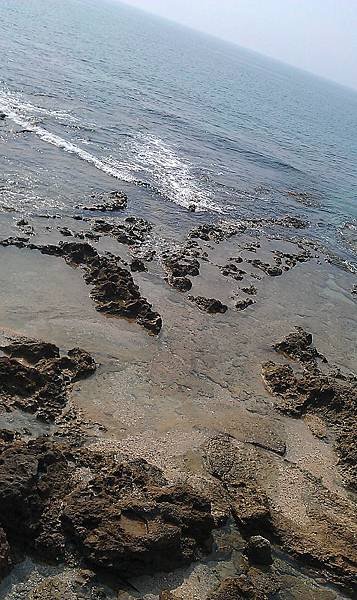 IMAG1597.jpg