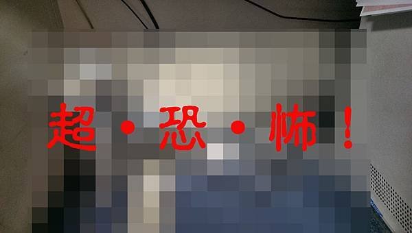 IMAG0322