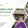 【​​AN&apos;s愛旅遊】清邁Chom Cafe and Res