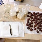 S__81543180.jpg