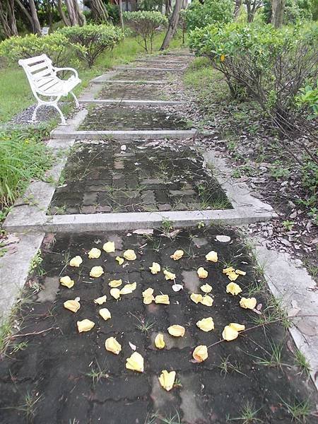 花心路