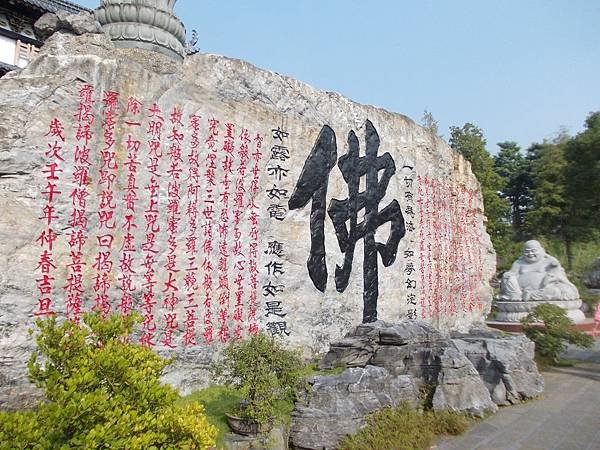 DSCN0736