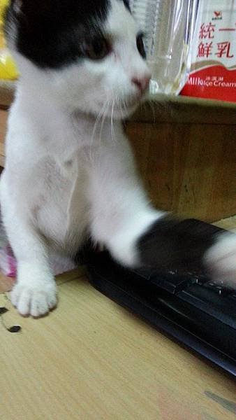 20131110_165040.jpg