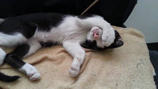 20140814_144352.jpg