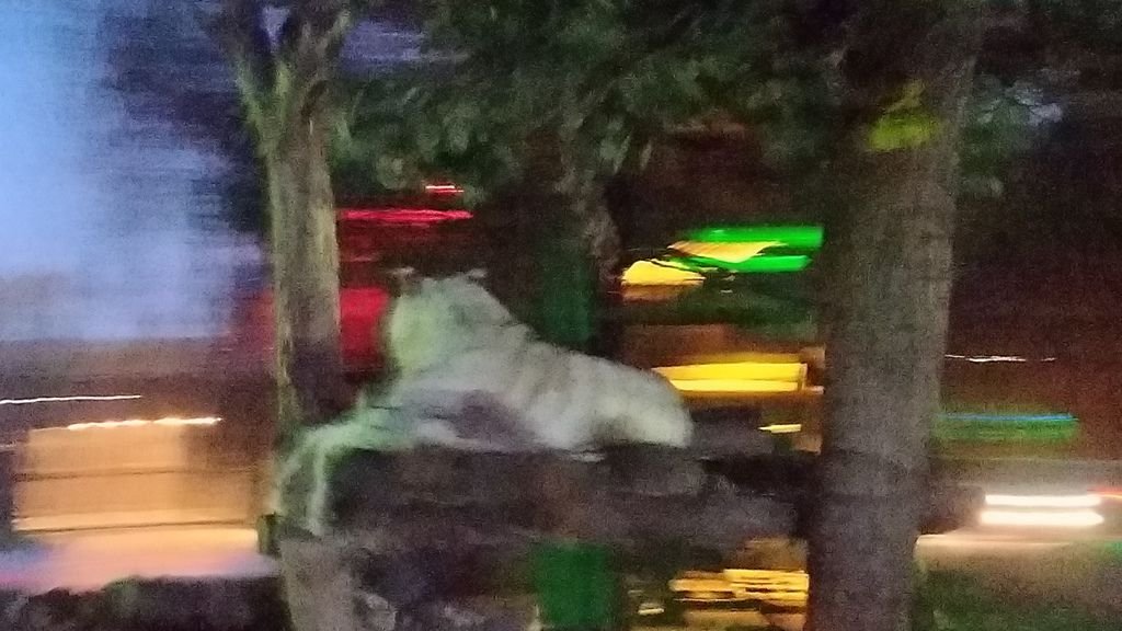 P_20171021_181300_vHDR_Auto.jpg