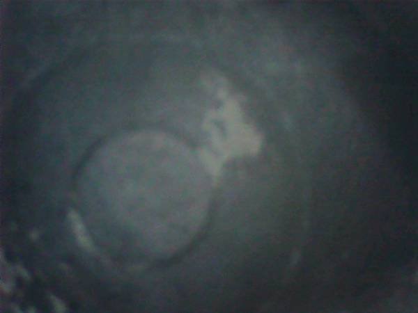 210425_135635.jpg