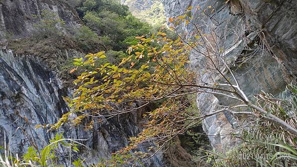 P_20210415_112505.jpg