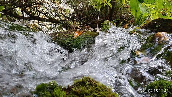 P_20210415_114243.jpg
