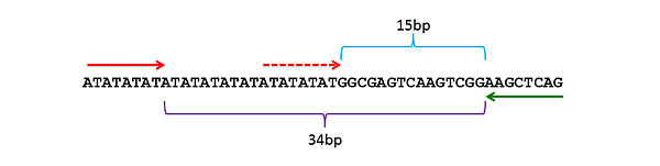 新圖片 (10).png