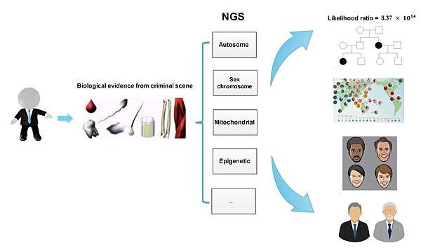 淺談鑑識現場的DNA思維02