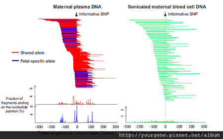 170628_1.png