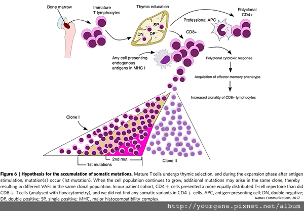 180606_2.png